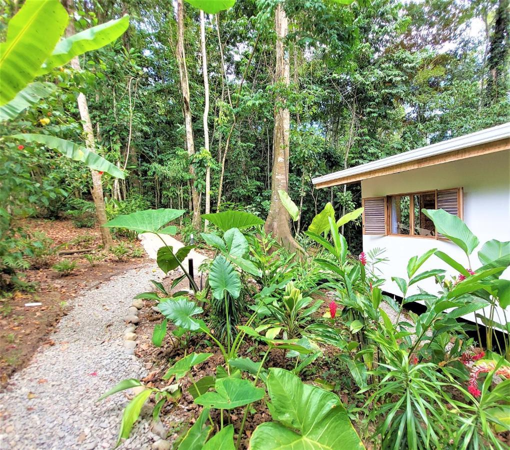 Satta Lodge (Adults Only) Puerto Viejo de Talamanca Exteriör bild