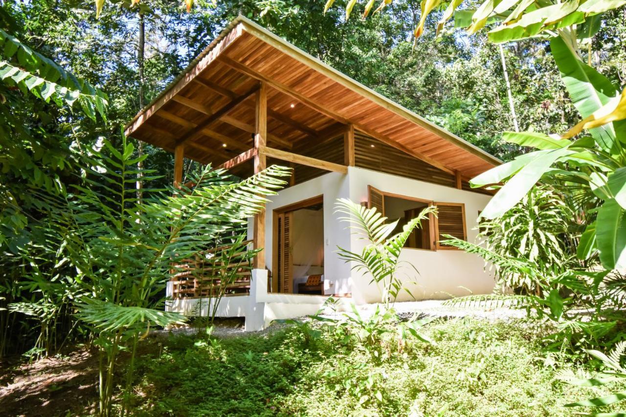 Satta Lodge (Adults Only) Puerto Viejo de Talamanca Exteriör bild