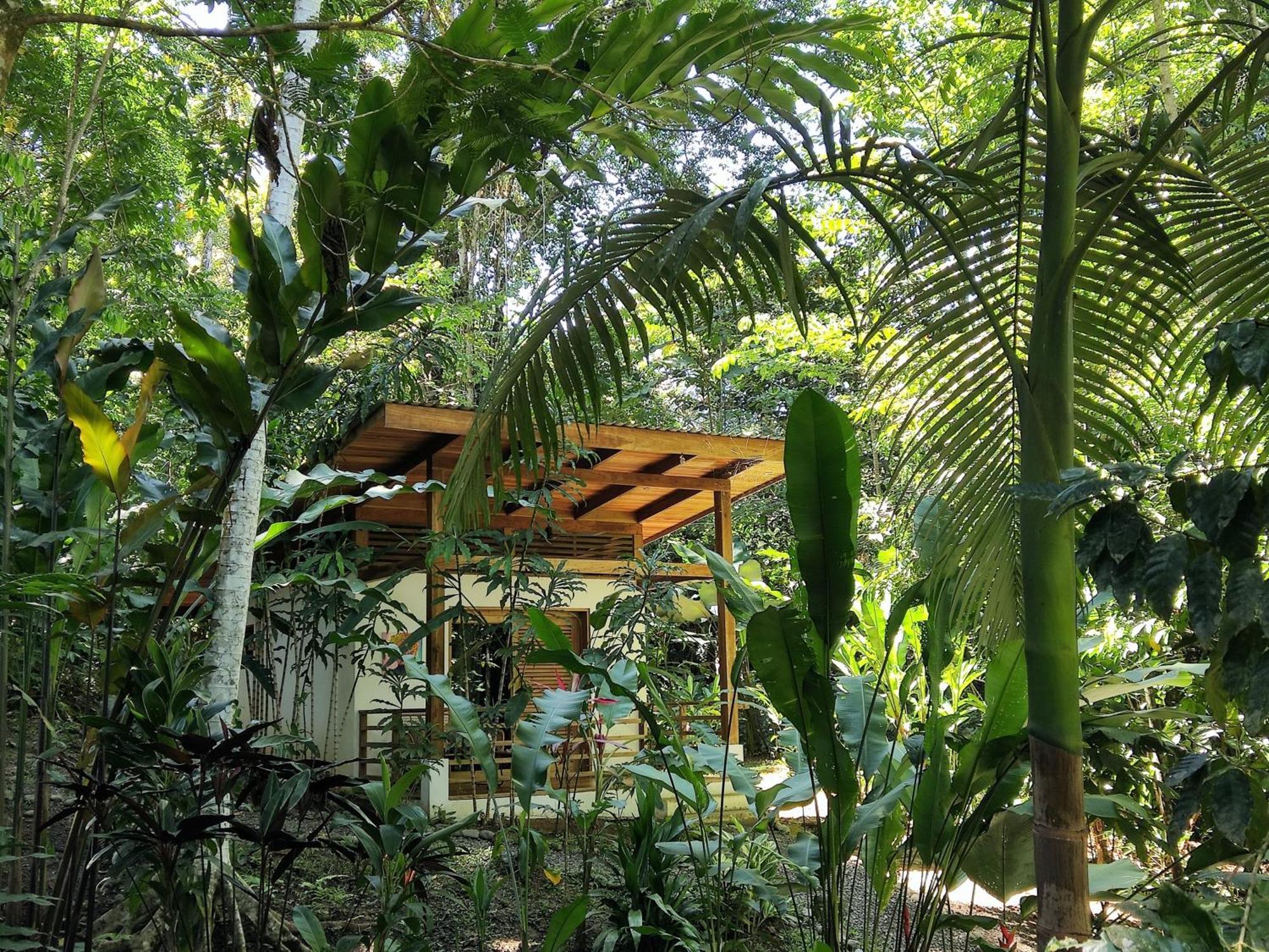 Satta Lodge (Adults Only) Puerto Viejo de Talamanca Rum bild