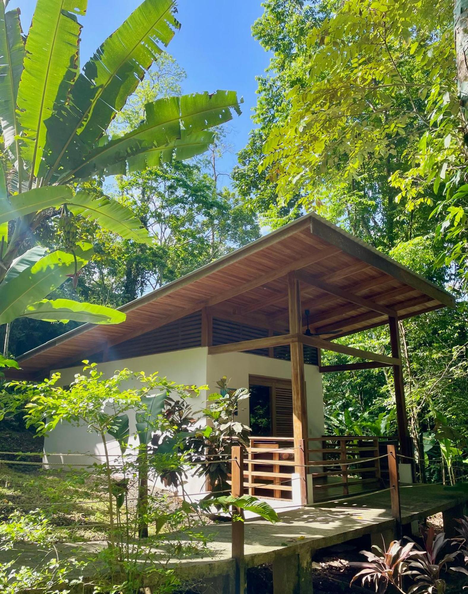 Satta Lodge (Adults Only) Puerto Viejo de Talamanca Exteriör bild