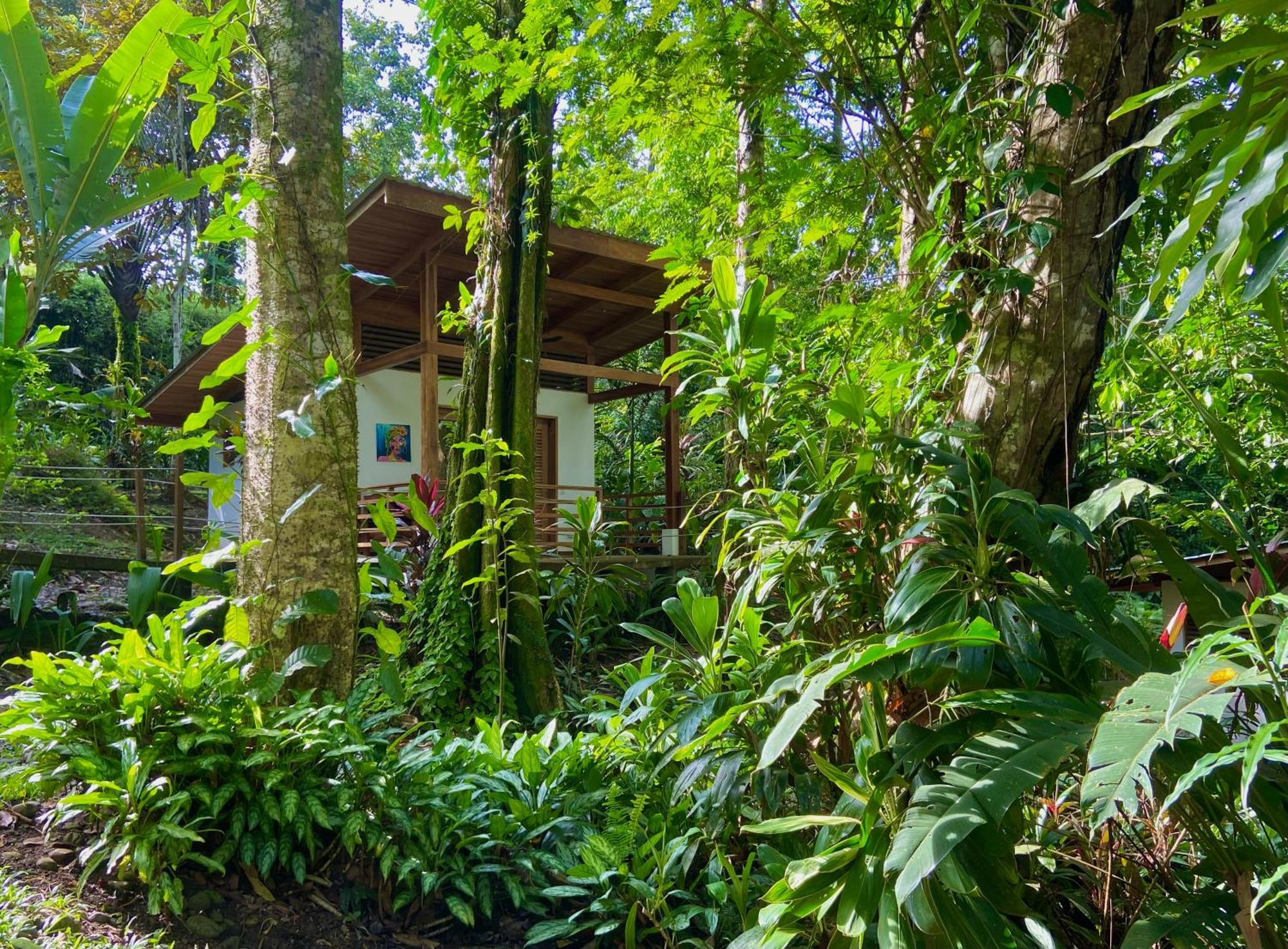 Satta Lodge (Adults Only) Puerto Viejo de Talamanca Exteriör bild