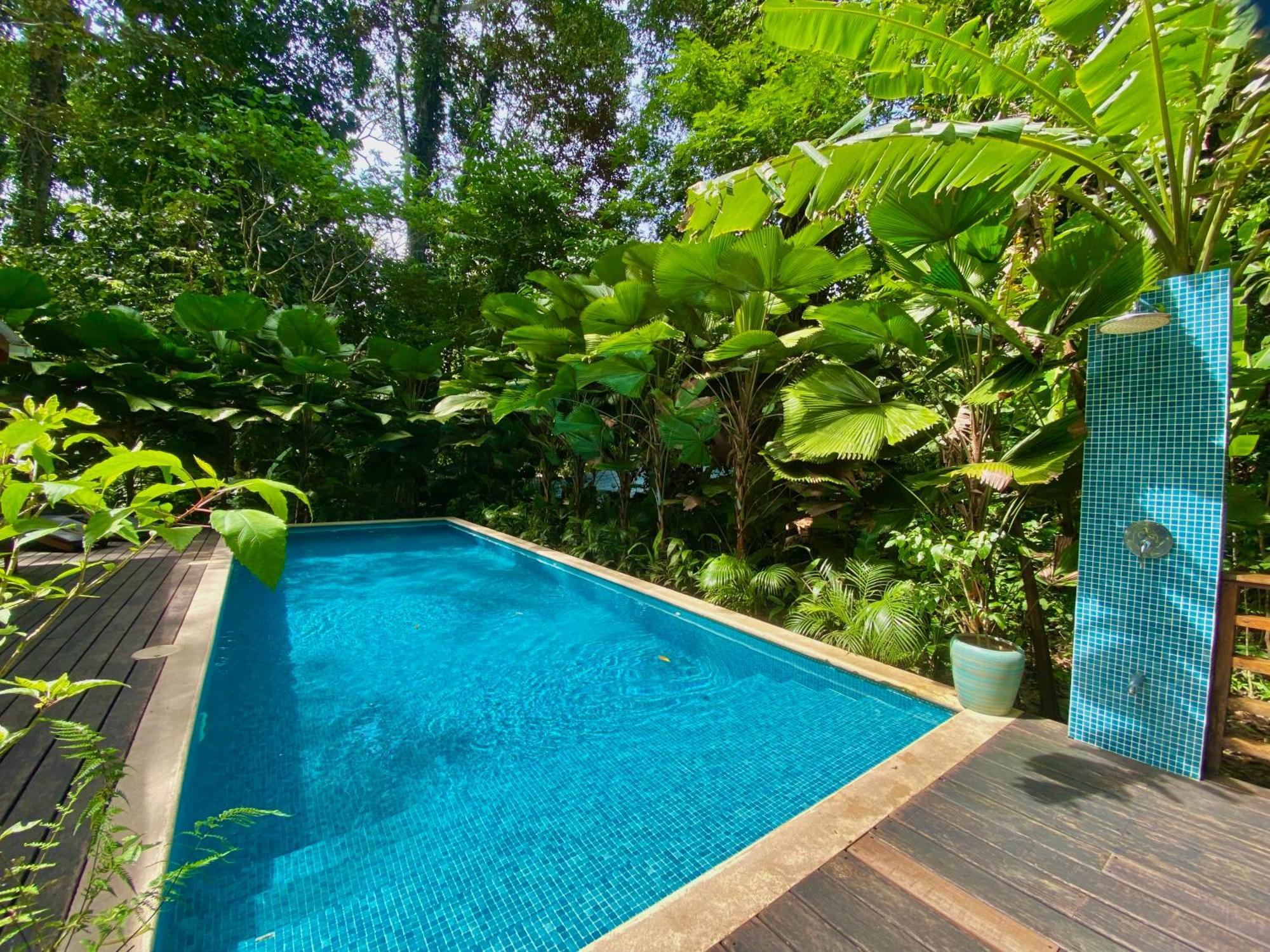 Satta Lodge (Adults Only) Puerto Viejo de Talamanca Exteriör bild