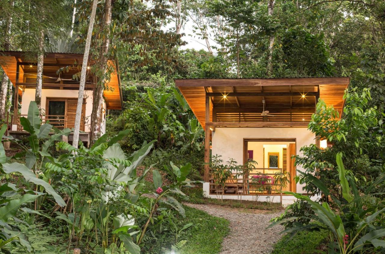Satta Lodge (Adults Only) Puerto Viejo de Talamanca Exteriör bild